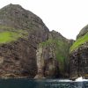 Vestmanna - Sea cliffs with birds - Image 3
