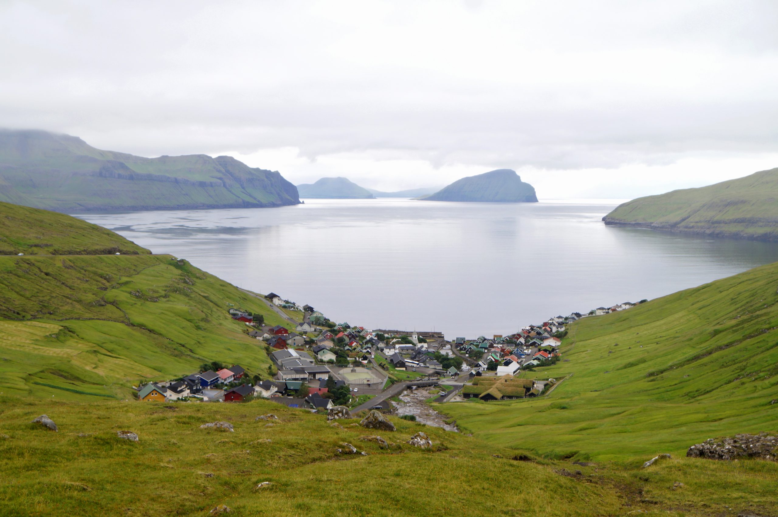 Vestmanna - Sea cliffs with birds - Image 5