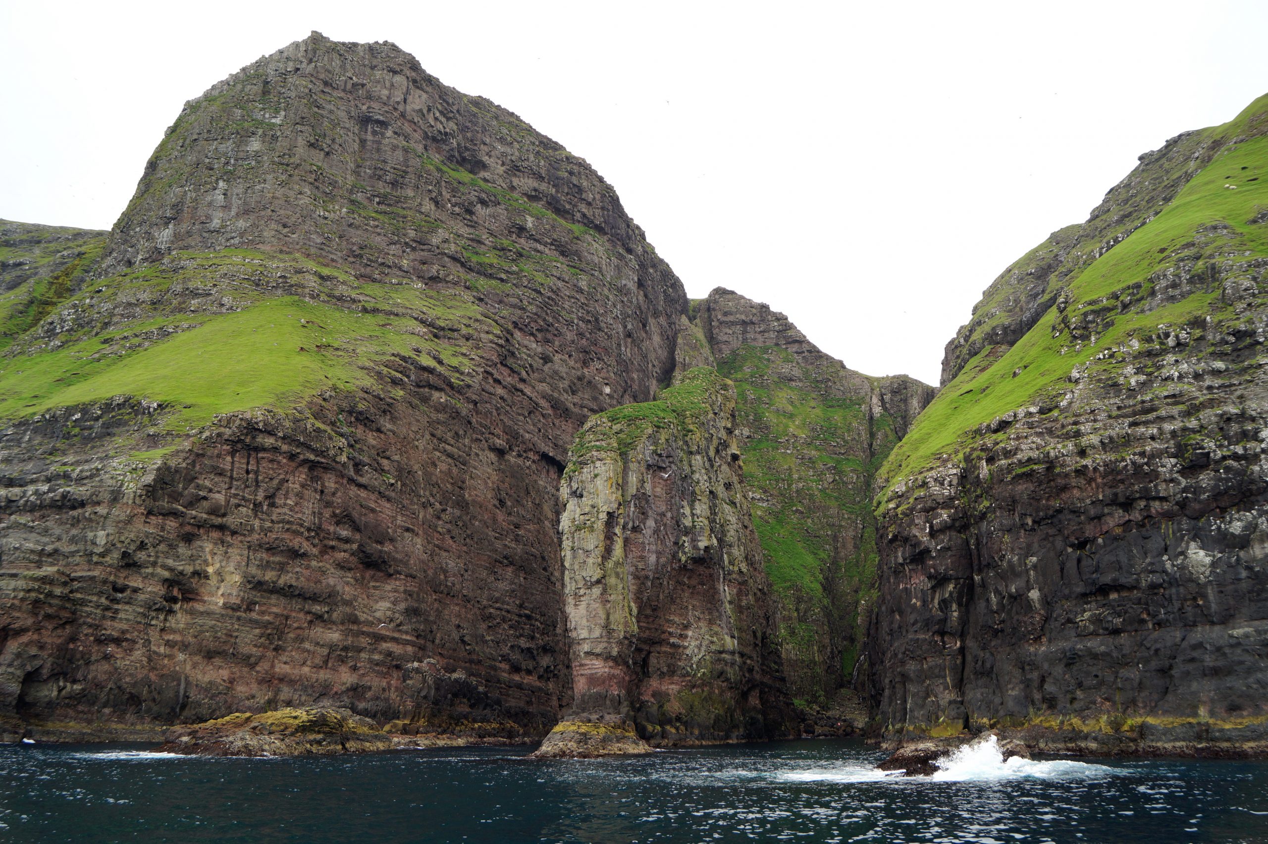 Vestmanna - Sea cliffs with birds - Image 3